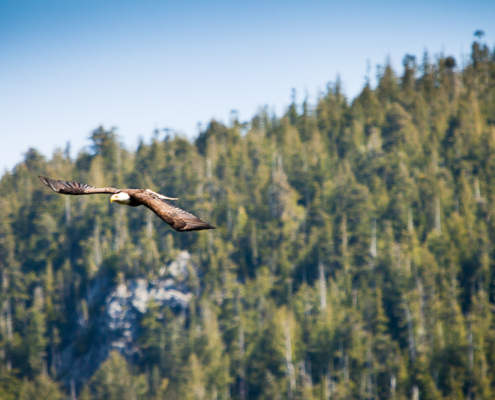 Photo by TJ Watt