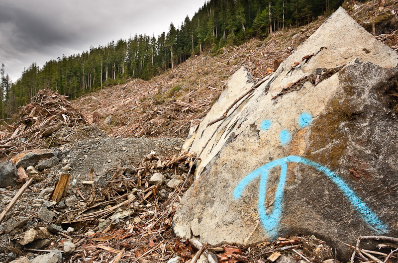 Loggers painted a sad face with its tongue sticking out making a mockery of the old-growth devastation in the background. Upper Walbran Valley