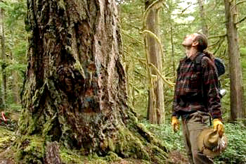 Cortes Island resident Fred Savage next to a 400-year old Douglas fir