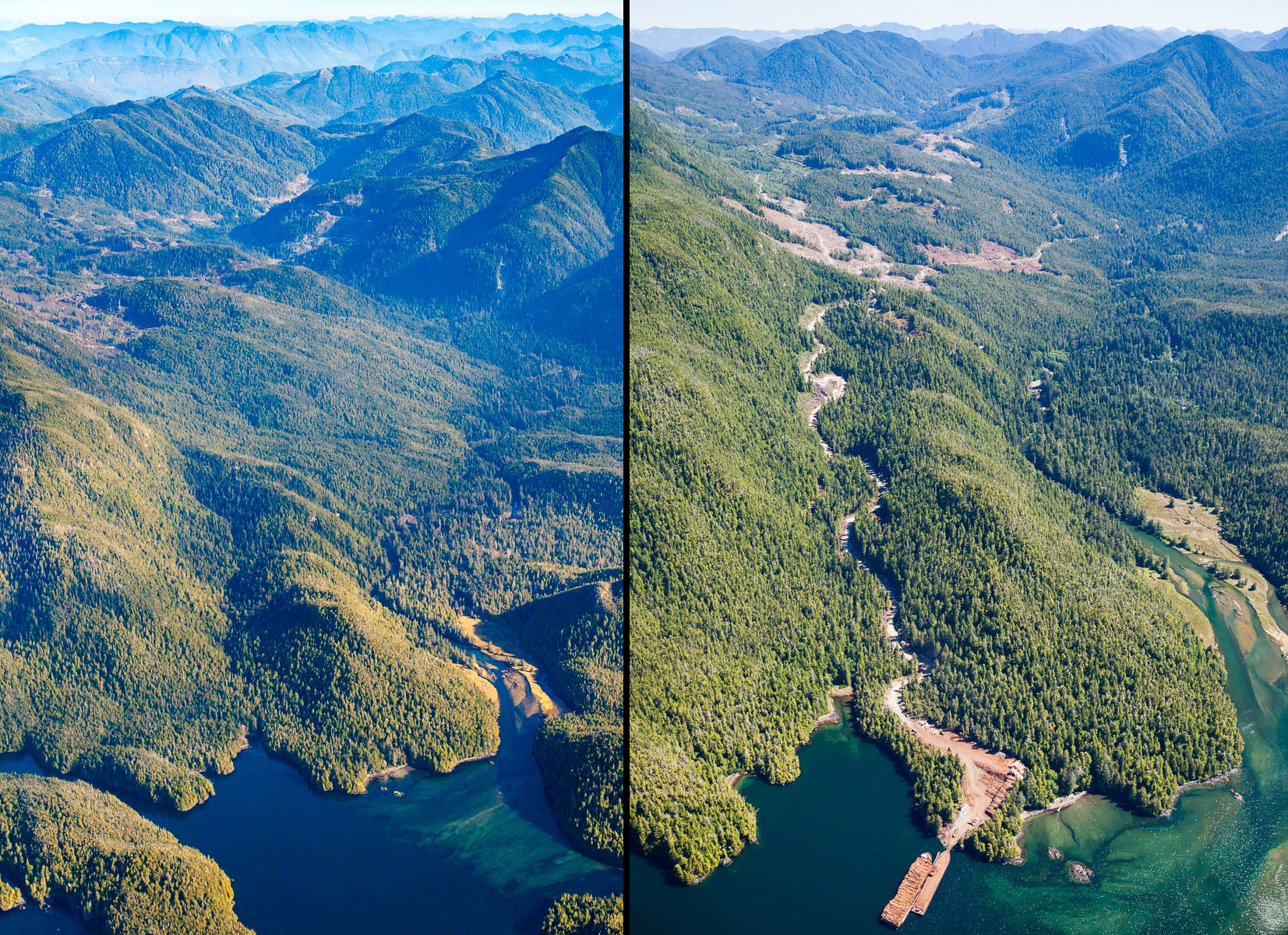 Before & after logging in East Creek