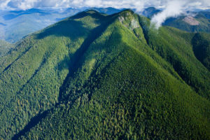 The Edinburgh Mountain Ancient Forest near Port Renfrew in Pacheedaht territory. The recent logging taking place would be in the lower right corner of this frame.