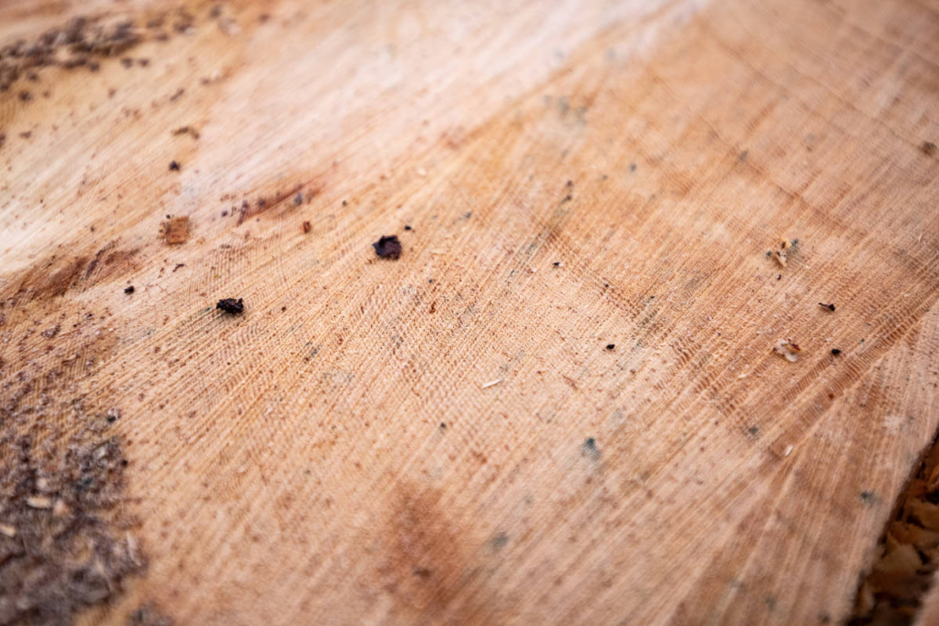 Try and count the rings..