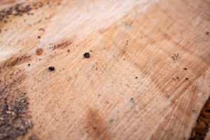 Try and count the rings..