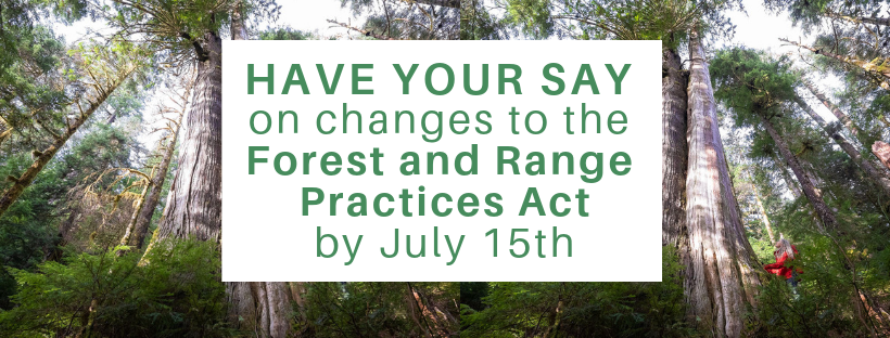 ACTION ALERT: Have Your Say on Changes to BC’s Forest Practices Legislation