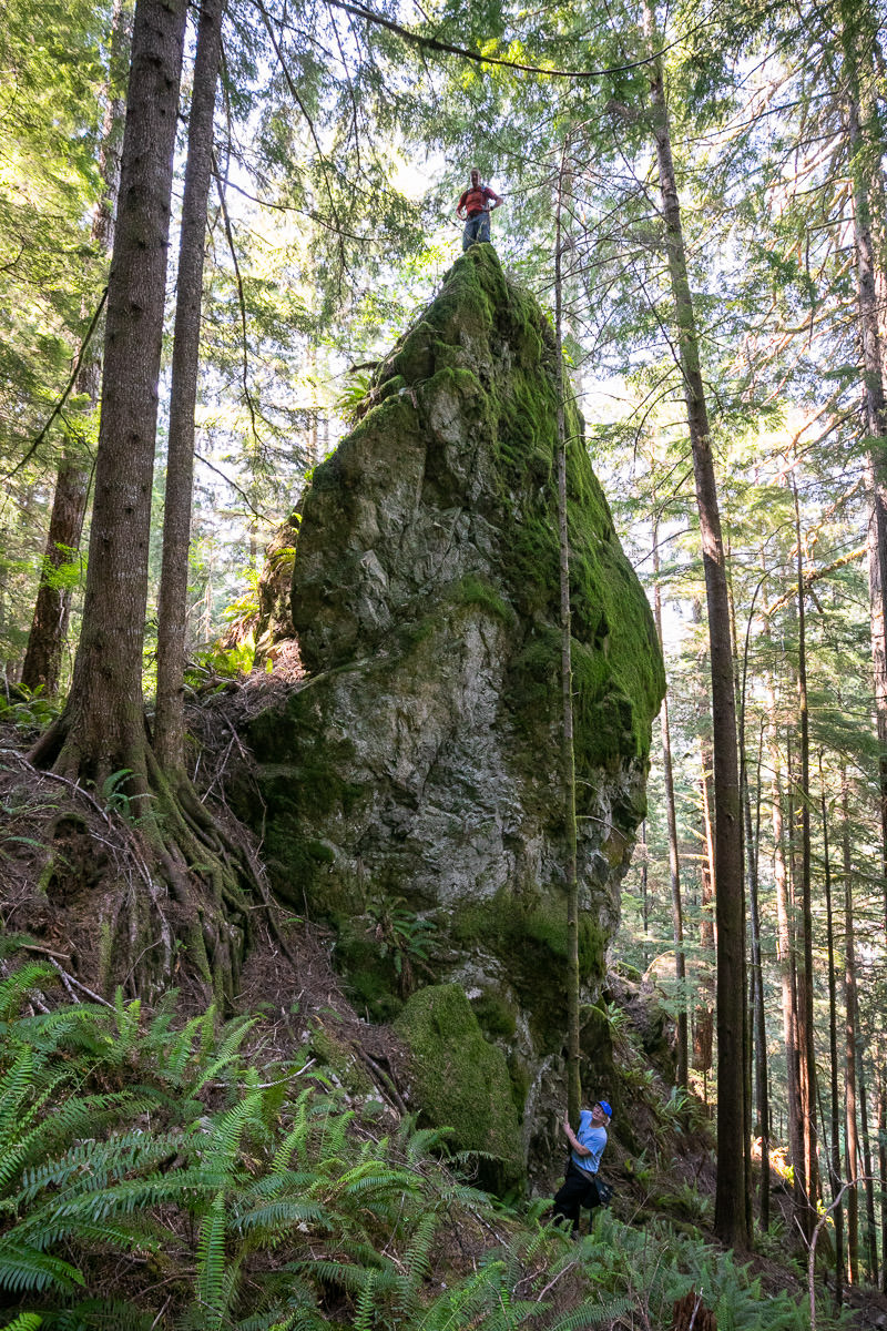Giant boulders above town leave residents concerned about logging.