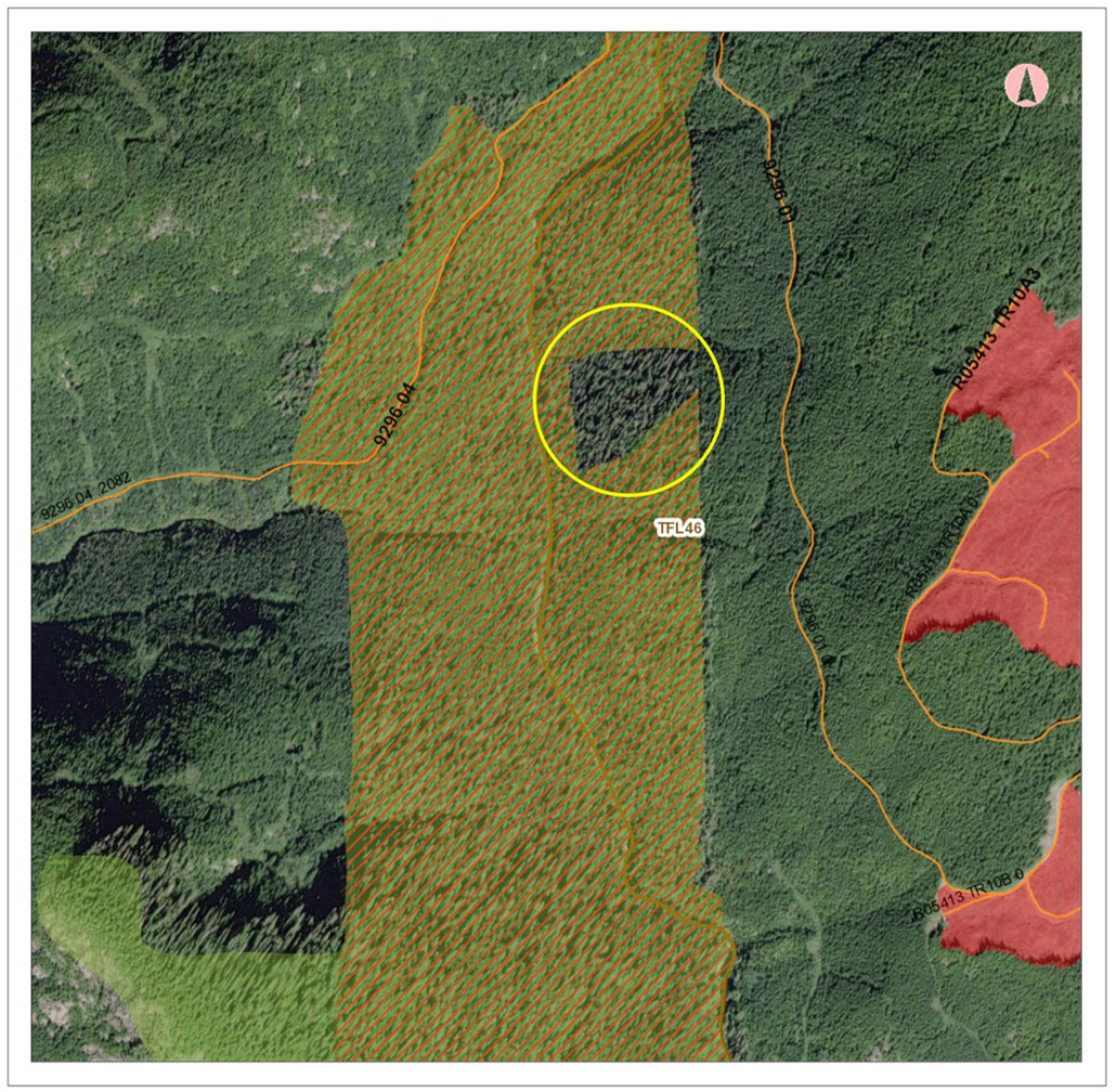 Map depicting the section of old-growth forest left out of the Wildlife Habitat Area (red hash lines) and Old-Growth Management Area (yellow/green). It only makes sense that this section should have been included as well.