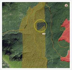 Map depicting the section of old-growth forest left out of the Wildlife Habitat Area (red hash lines) and Old-Growth Management Area (yellow/green). It only makes sense that this section should have been included as well.