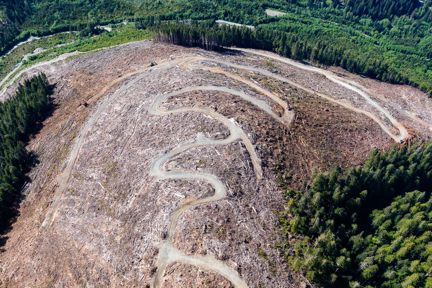 Logging in the Klanawa Valley: “World’s best forestry practices”?