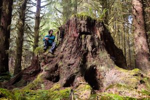 A testament to the giants that once grew all around this lake.