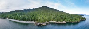 Overlooking the unprotected ancient forests of Vernon Bay in Barkley Sound in Uchucklesaht and Tseshaht nation territories. 33 logging cutblocks have been approved in this region, some overlapping with the newly recommended deferral areas.