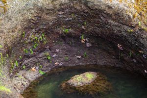 Tide pools.