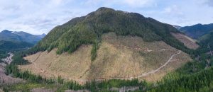Conservationists uncovered the clearcutting of massive old-growth redcedar trees by BC Timber Sales in 2018 in the Nahmint Valley near Port Alberni in Hupačasath, Tseshaht, and Yuułuʔiłʔatḥ First Nation territory. 