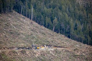 Approved by the BC NDP.