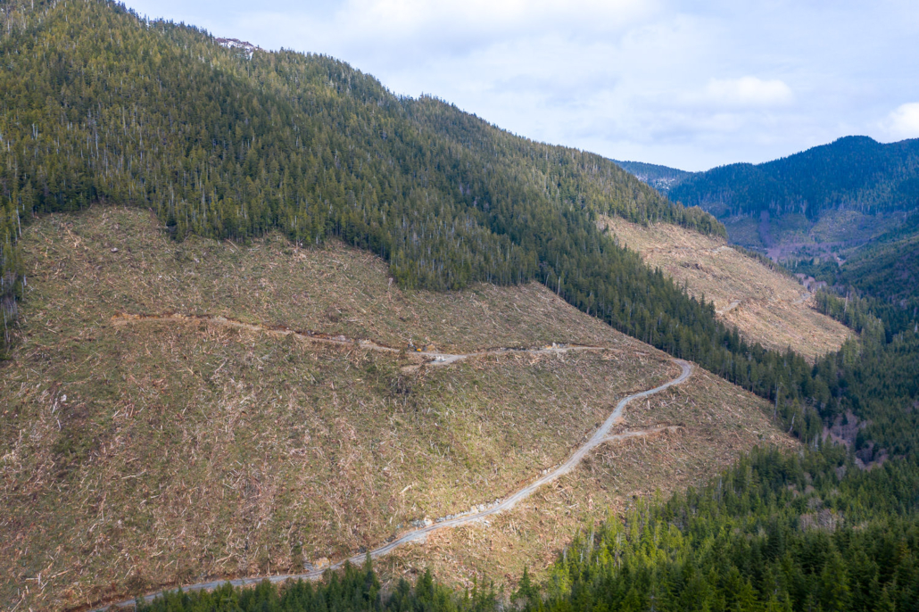 BC Timber Sales old-growth clearcutting.