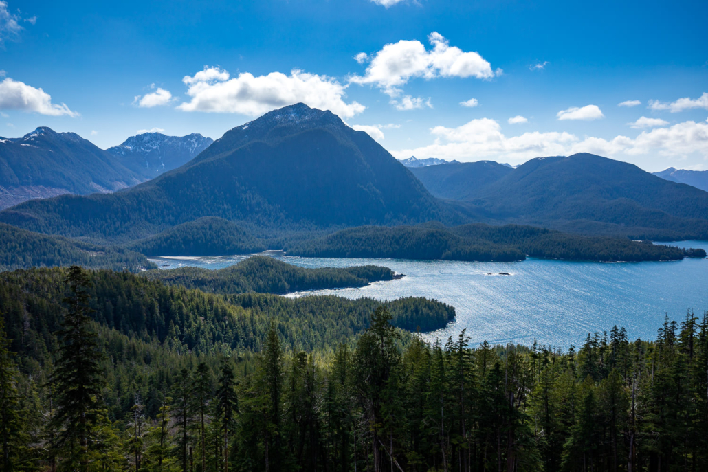 Klaskish Inlet with East Creek to the left and the beginning of the Brooks Peninsula protected area in the background.