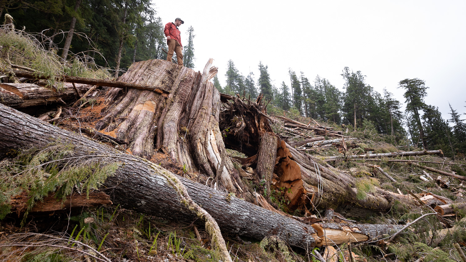 Spinfilled Announcement Reveals BC Government’s Failure to Ensure Net