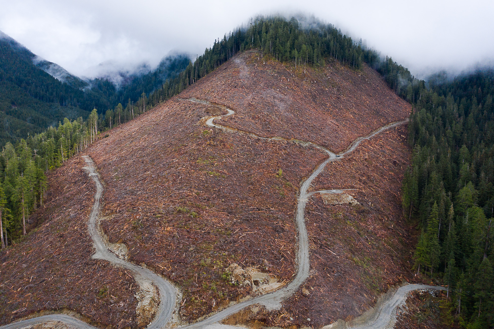 An aerial shot of a clearcut in the Caycuse Watershed in Ditidaht Territory.