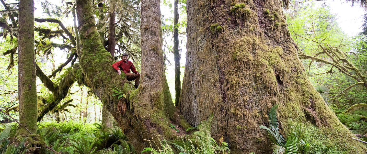Ancient Forest Alliance photographer & campaigner, TJ Watt, beside an enormous old-growth Sitka spruce growing unprotected west of Lake Cowichan in Ditidaht territory.
