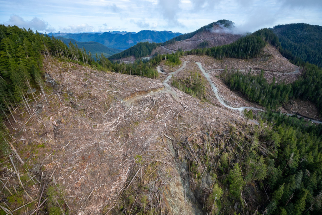 A massive clearcut on a mountainside, with logging roads leading out of it and small patches of trees lining the sides.
