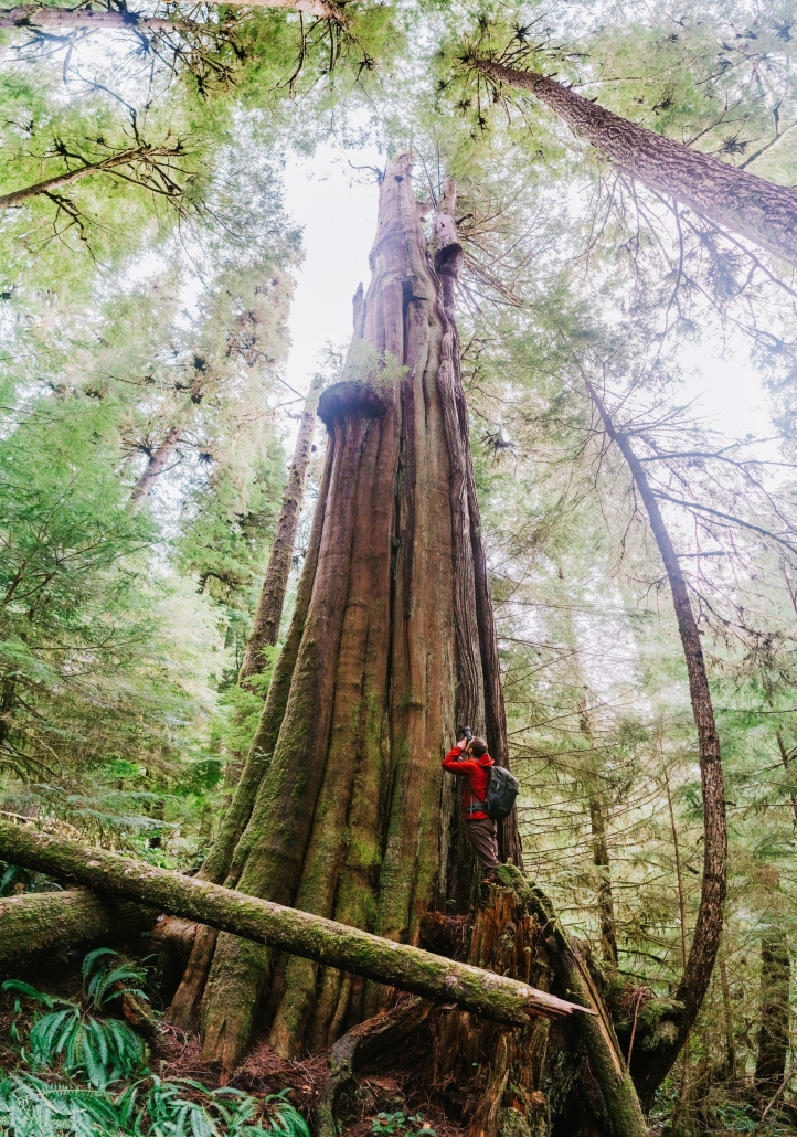 AFA's TJ Watt stands next to an old-growth tree.