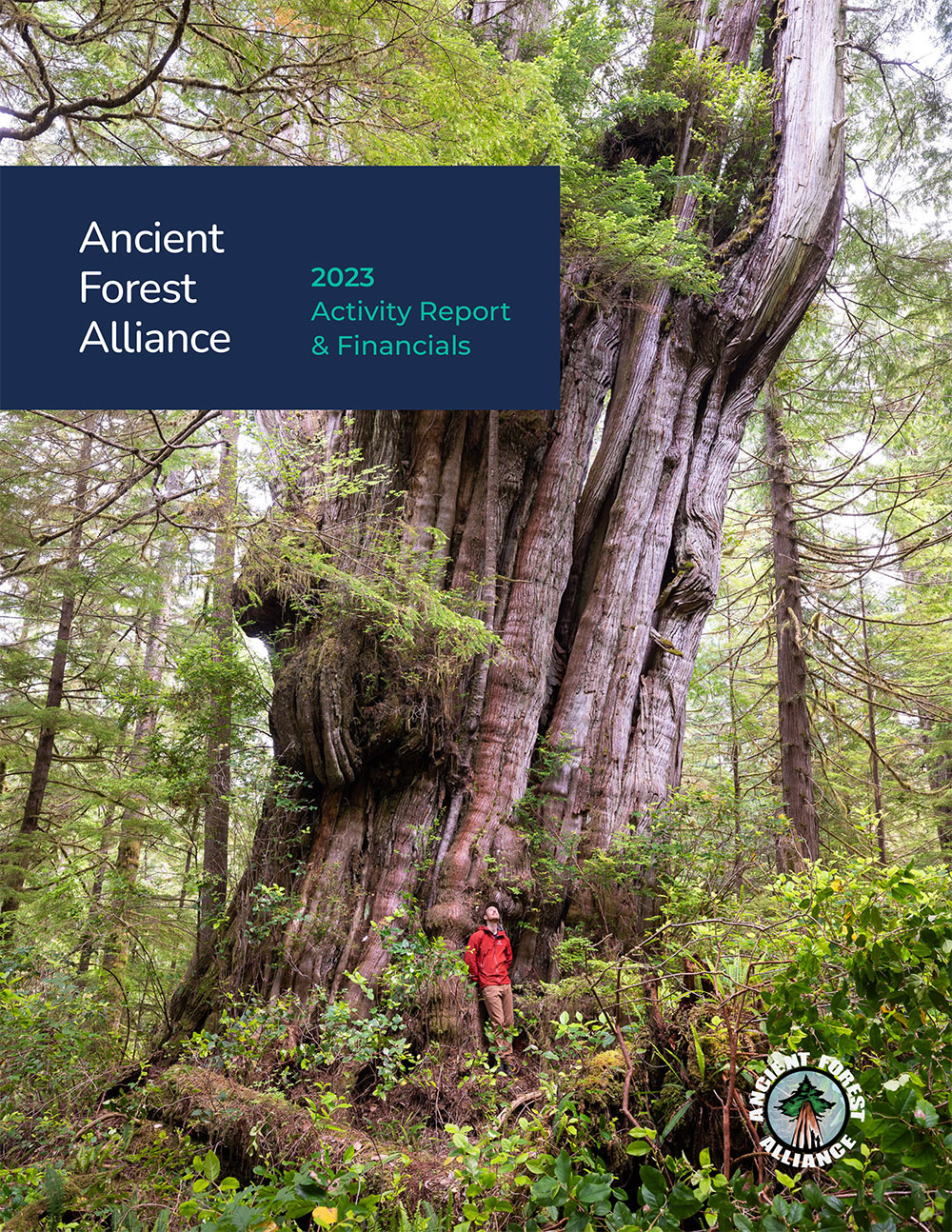 Activity Reports - Ancient Forest Alliance