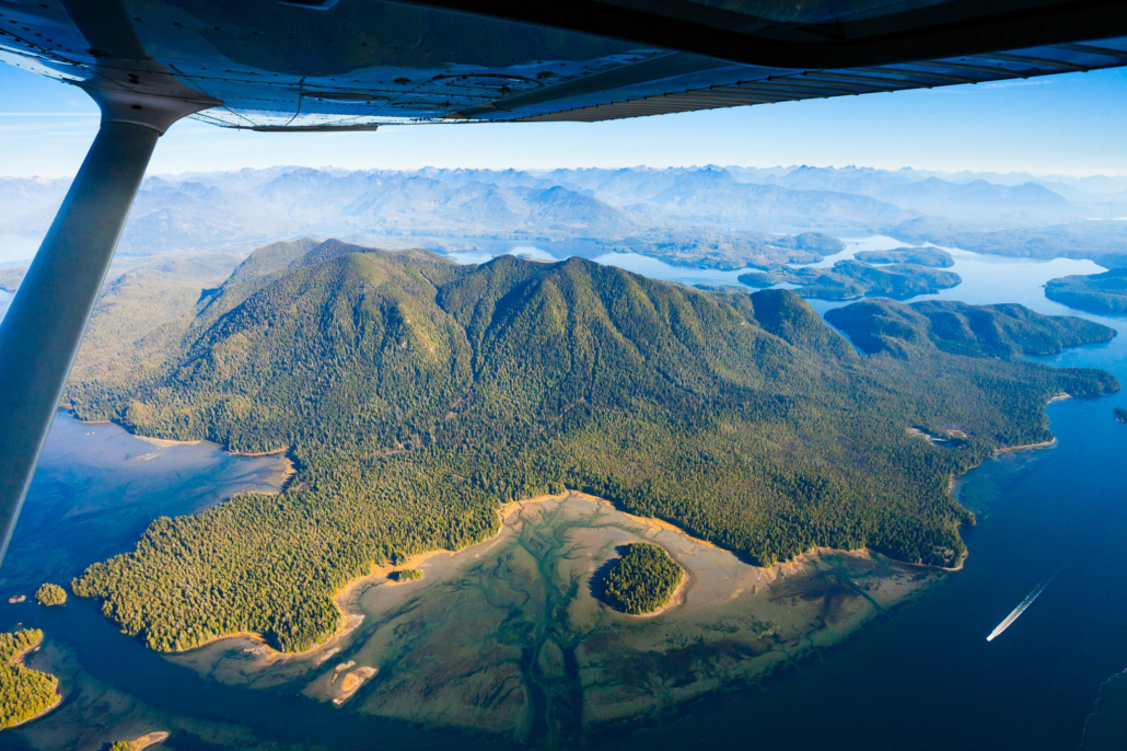The intact rainforests of Meares Island.
