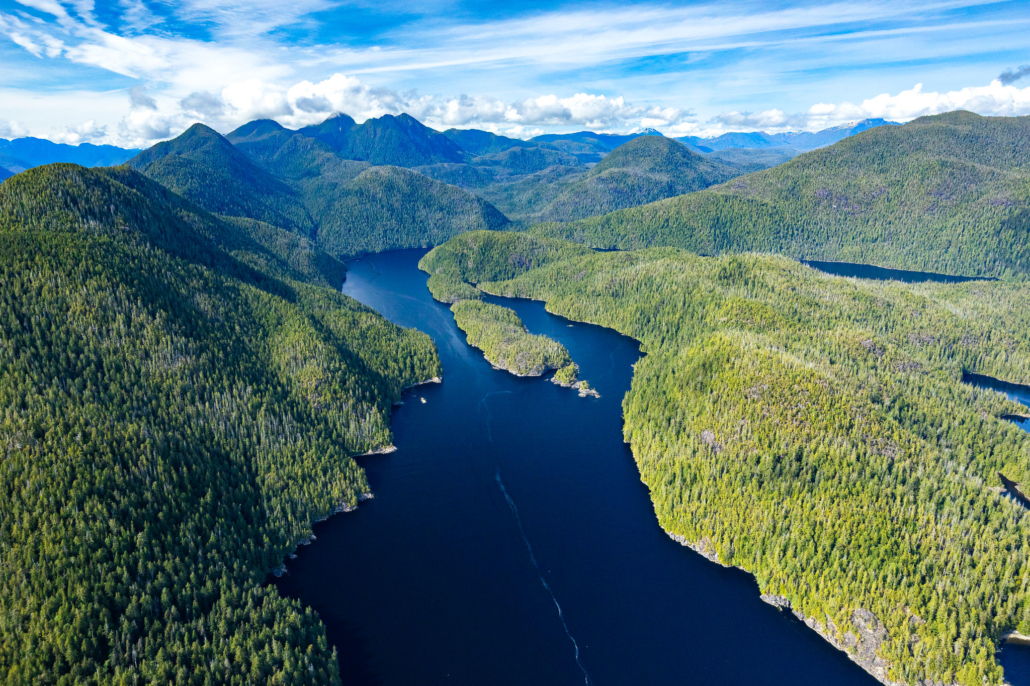 Valey Inlet Sydney River Valley - Ancient Forest Alliance