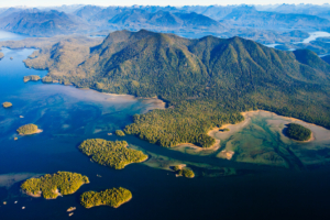 The intact rainforests of Meares Island, Clayoquot Sound