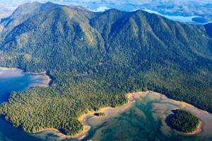 The Big Tree Trail loops along the coastline of the peninsula on the lower left.