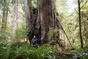 Veteran big tree seeker, Shaun Muc.