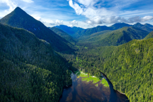 The emerald-green rainforests of the Sydney River Valley, Ahousaht territory.