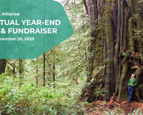 An image of a large western redcedar with the words: 2025 Virtual Year-End Update and Fundraiser