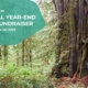 An image of a large western redcedar with the words: 2025 Virtual Year-End Update and Fundraiser