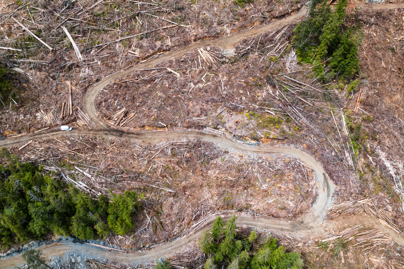 An aerial of a BCTS cutblock in the Nahmint Valley