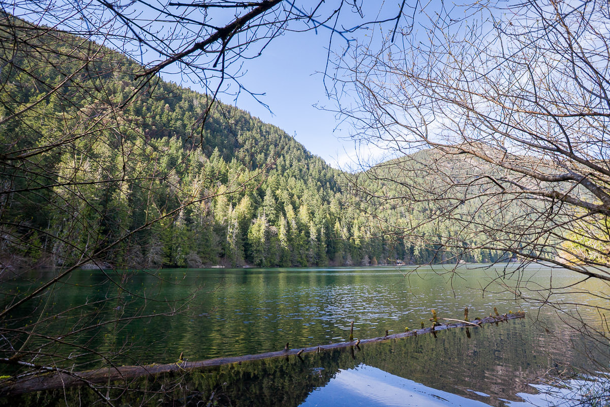 Cathedral Grove – Port Alberni