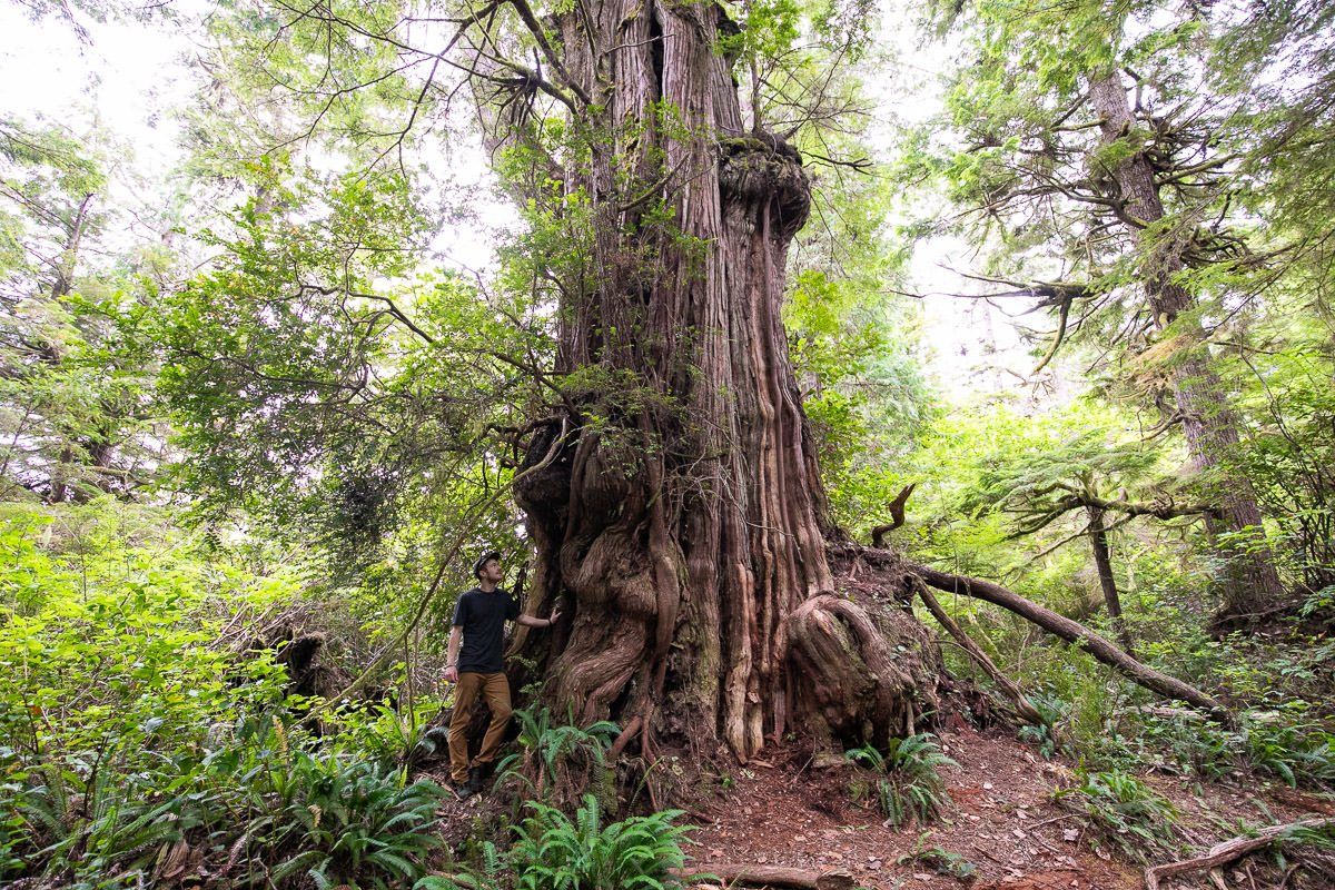 Wildside Trail – Flores Island