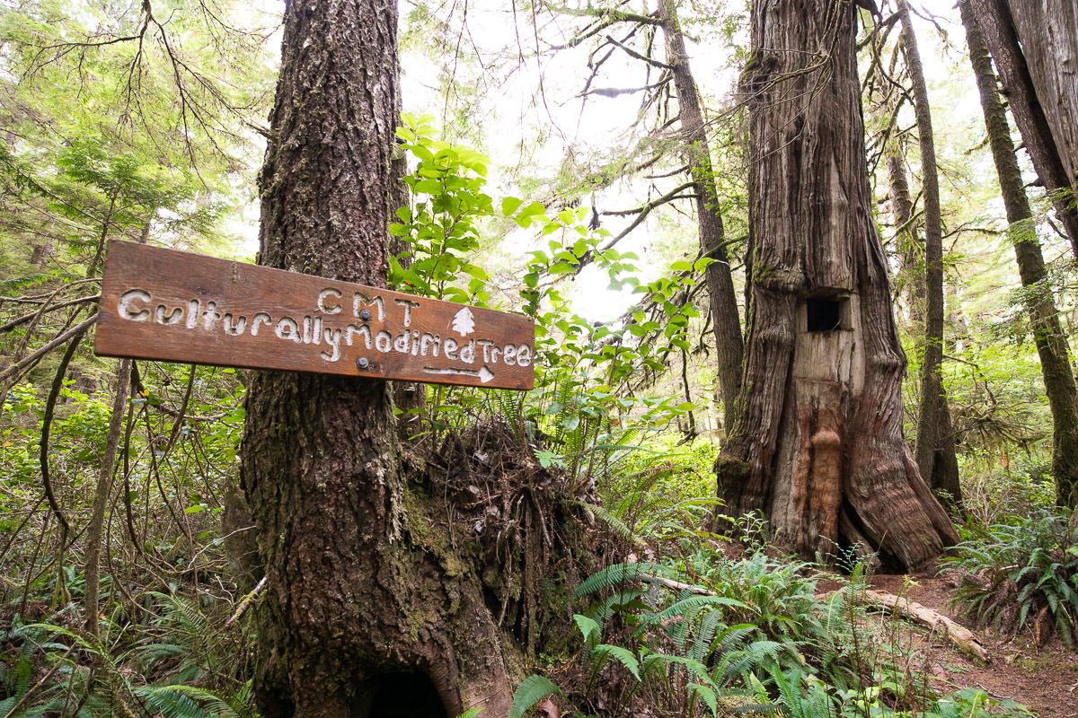 Wildside Trail – Flores Island