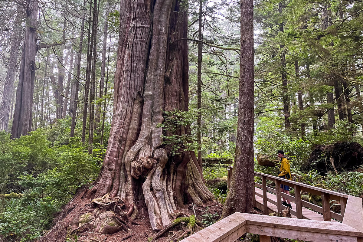 Hot Springs Cove - Clayoquot Sound
