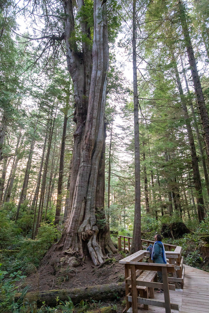 Hot Springs Cove - Clayoquot Sound
