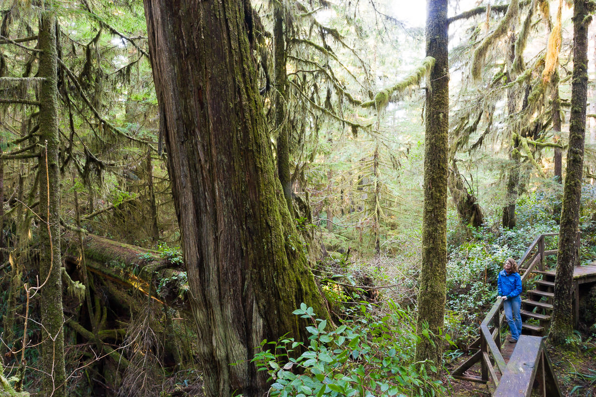 Rainforest Trail – Tofino