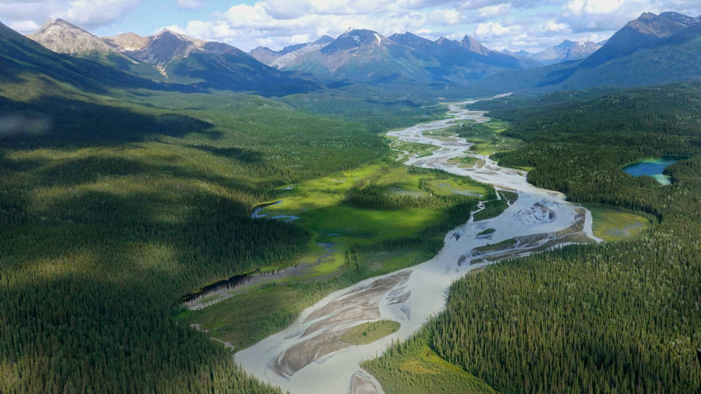 upper Gataga River valley