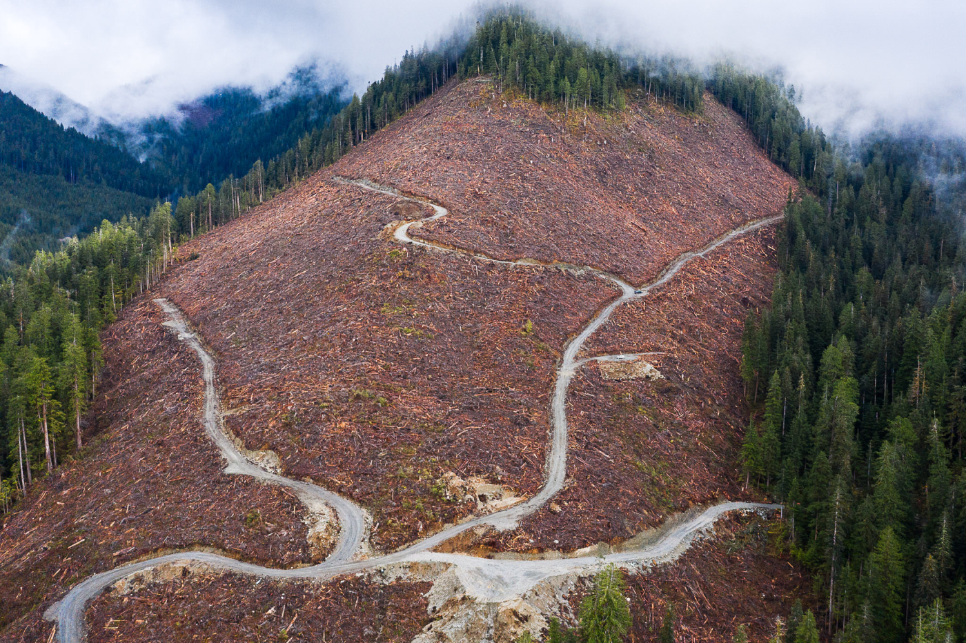 An aerial shot of a clearcut in the Caycuse Watershed in Ditidaht Territory.