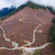 An aerial shot of a clearcut in the Caycuse Watershed in Ditidaht Territory.
