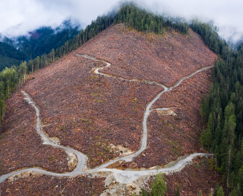 An aerial shot of a clearcut in the Caycuse Watershed in Ditidaht Territory.