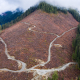 An aerial shot of a clearcut in the Caycuse Watershed in Ditidaht Territory.